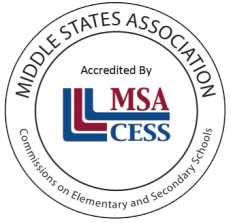 MSA: Logotipo